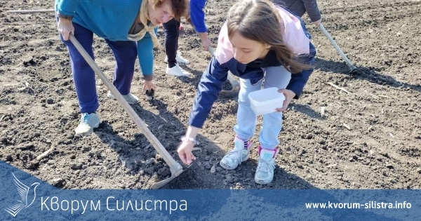 Малки и големи засяха бостана в силистренското село Смилец