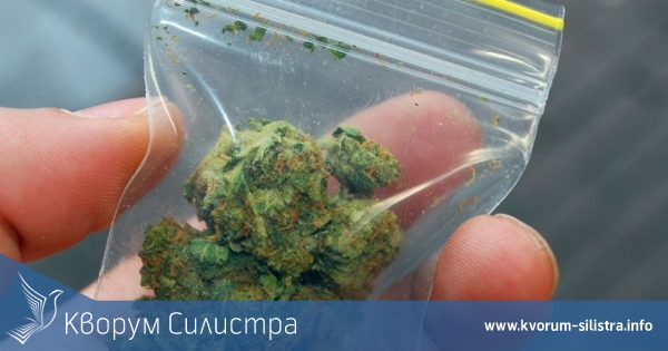 Намериха канабис при обиск на 32-годишен в Тутракан