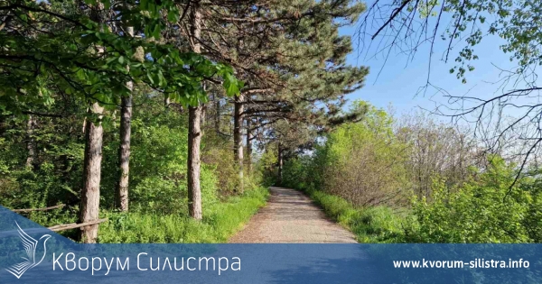 Слънчева събота в Силистренско