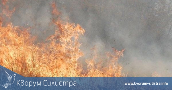 Пожари белязаха полицейската хроника от 23 юни в Силистренско