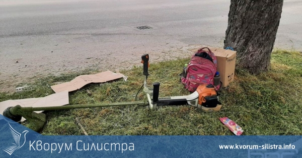 Защо в Силистра не успяват да се справят с избуялата трева?