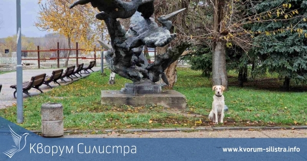 Времето през уикенда в Силистренско