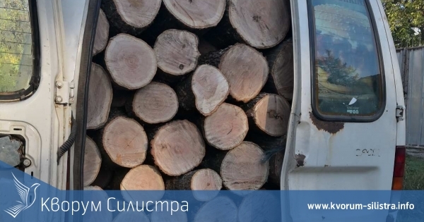 Двама превозвали дърва с фалшиви документи в Дуловско
