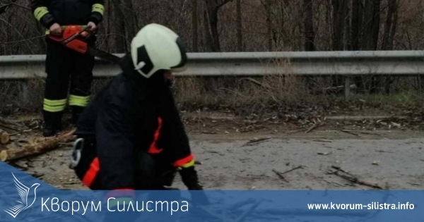 На паднали дървета, опасна мазилка и горящи отпадъци реагираха силистренските пожарникари