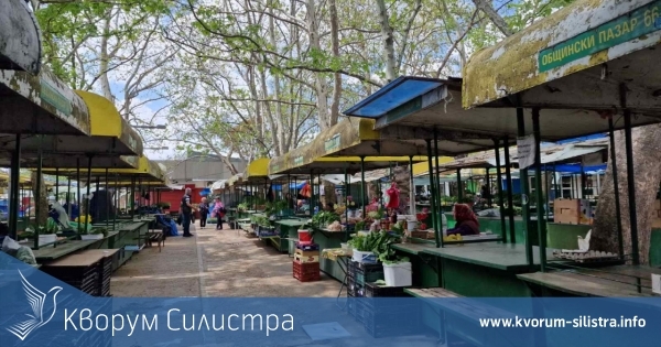 Свободни работни места в област Силистра