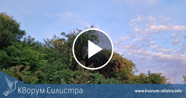 Горещ и ветровит петък