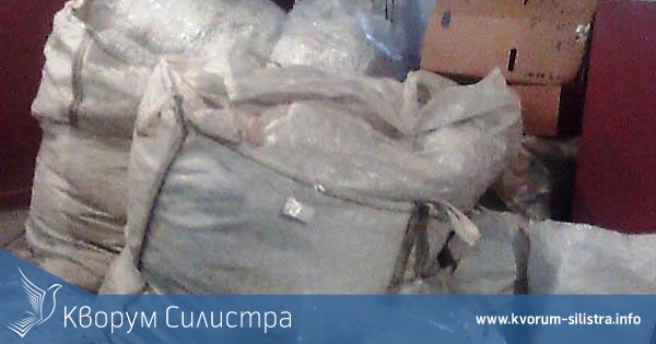 24 дървета няма да бъдат унищожени благодарение на служителите от НАП Силистра