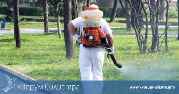 Община Силистра синхронизира пръскането срещу комари със съседите от Румъния