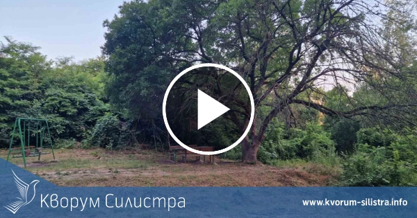 Слънчев и горещ четвъртък с температури до 32 градуса