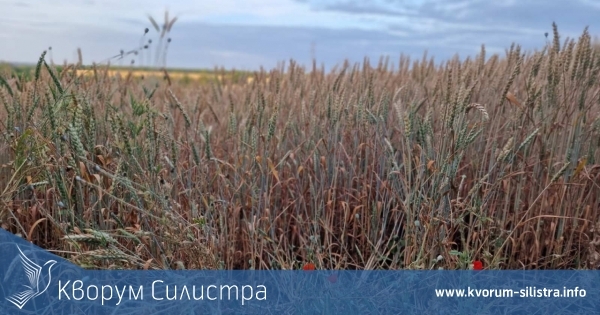 Силистра е най-голямата при най-малките области в България