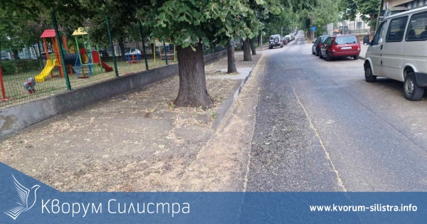 Пожарникари отстраниха опасно надвиснали клони