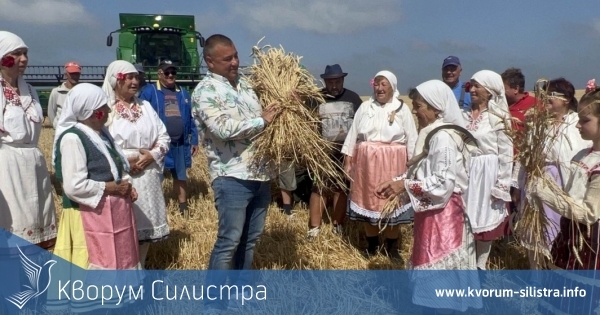 Първа жътва в Тутракан и Ситово