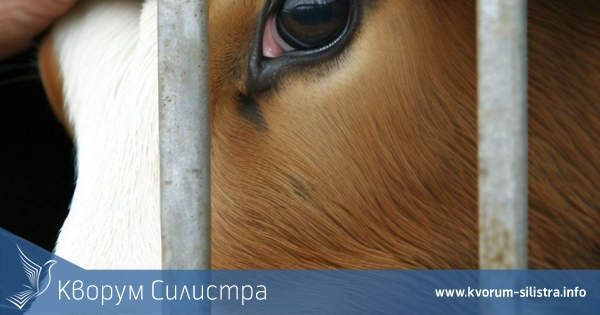 Преведоха 3,7 млн. лв. на фермери по мярка 14