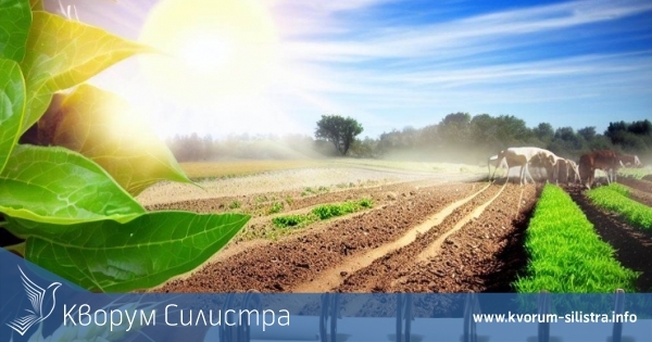 Земеделците трябва да следят тези срокове през юли