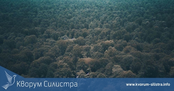 Инж. Татяна Йорданова ще консултира в Тутракан при закупуване на горски територии от държавното предприятие