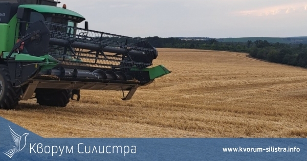 В Добруджа очакват слаба реколта от ечемик и пшеница