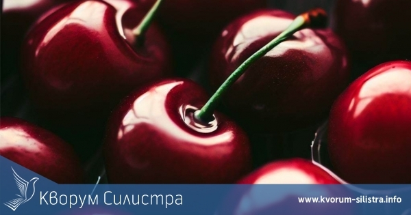 Износът на череши от Молдова за ЕС надхвърли очакванията