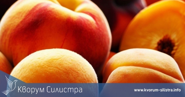 Рекордно ниска реколта от кайсии в Добруджа се очаква тази година