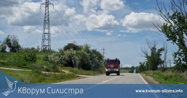 Паднало дърво и пожар на сметище до Алфатар