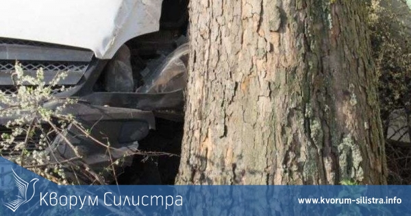 Товарен Мерцедес се заби в дърво край тутраканско село, шофьора е в болница