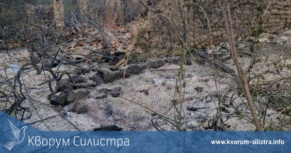 Загасиха огромния пожар обхванал Стрелково за втори път