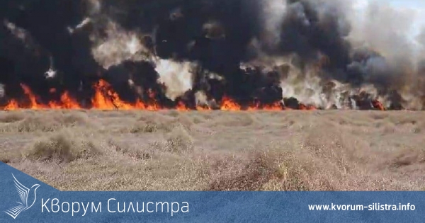 Пожари в Силистренско нанесоха значителни материални щети