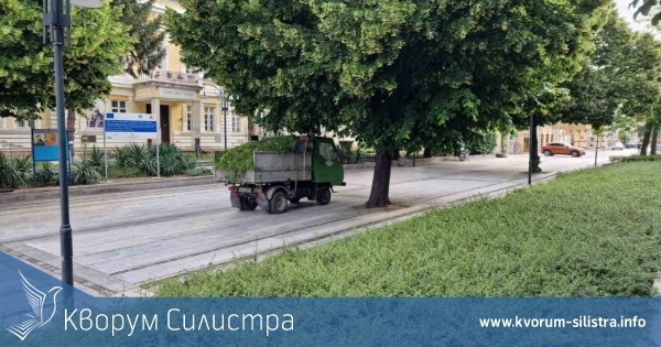 Свободни работи места в област Силистра