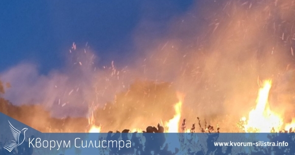 Горското с план и мерки за опазване на горите от пожари