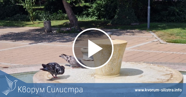 Слънчев четвъртък в Силистренско