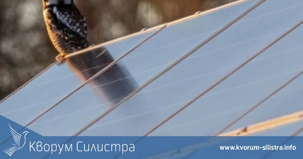 България посреща мултимилиардният британски фонд Actis, първият му проект е в Силистра