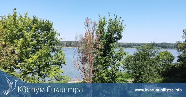 Показват за първи път картини рисувани на брега на Ветрен