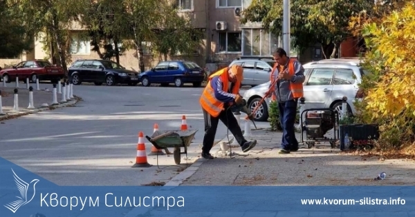 Свободни работни места в област Силистра