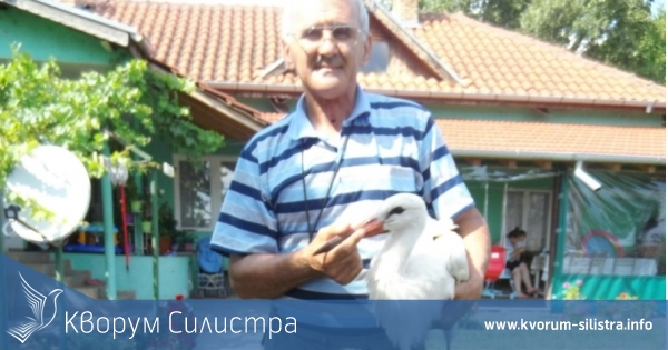 Спасителят на щъркели отново спасява