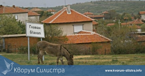 Главан без вода