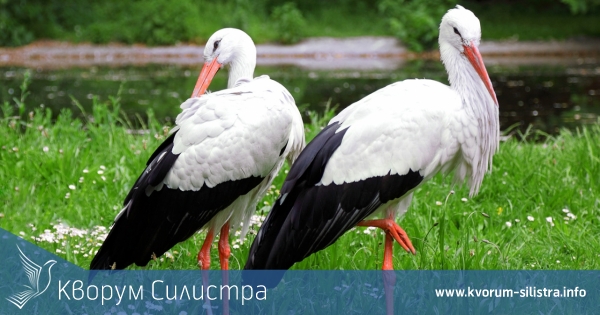 Лятото се удължава с няколко часа