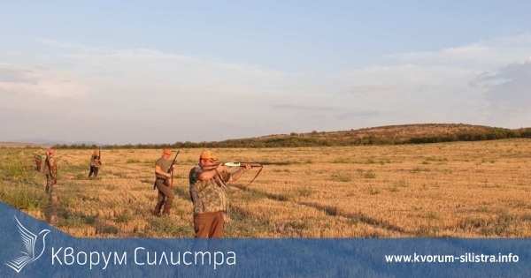 Днес откриват груповия лов на дива свиня