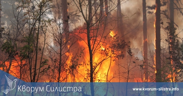 В Тутраканско изгоряха 42 декара гора