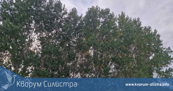 Времето през новата седмица в Силистренско