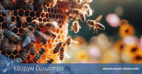 Изгоряха 4 пчелни кошера в Сребърна