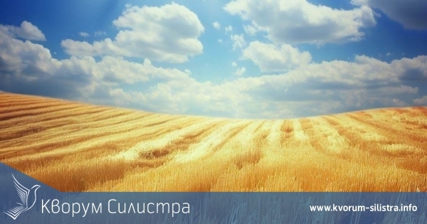 Цената на земеделската земя в България се е увеличила с над 1000% за 22 години