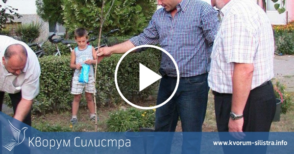 Бяла бреза засади кандидатът на ГЕРБ за кмет на силистренското село Калипетрово