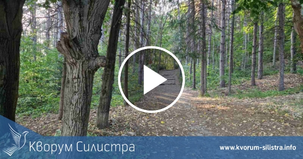 Топъл вторник в Силистренско