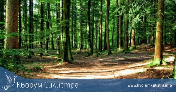 Правителството учреди възмездно сервитут в горски територии в полза на Община Тутракан