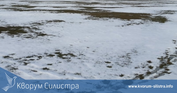 Зимна обстановка отложи мачове от регионалното футболно първенство