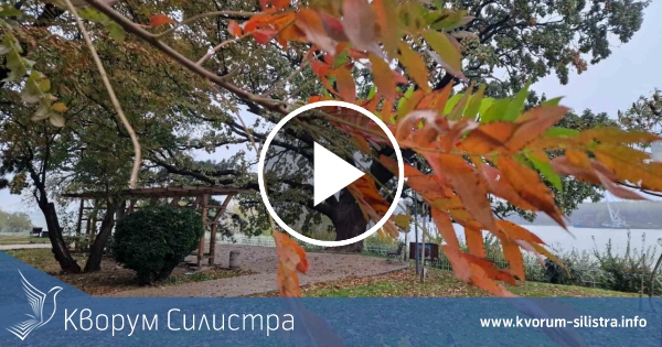 Слънчев понеделник