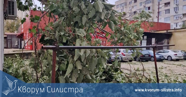 Силистренски пожарникари евакуираха хора от преспите и местеха паднали дървета