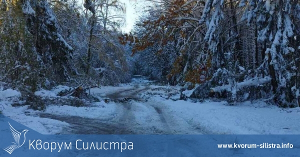 Затварят пътя през "Орехова гора" заради учение на полиция и пожарна