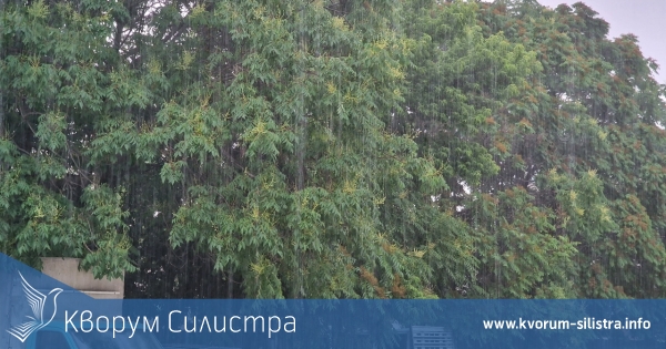 Дъждовна сряда в Силистренско