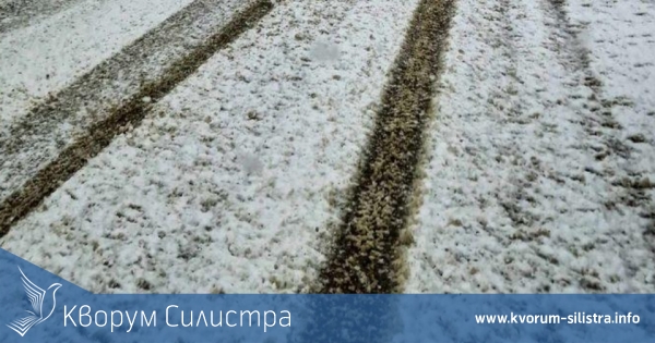 Актуална пътна обстановка в Североизтока
