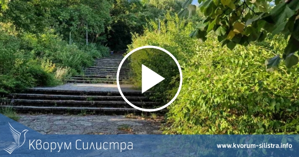 Слънчев понеделник